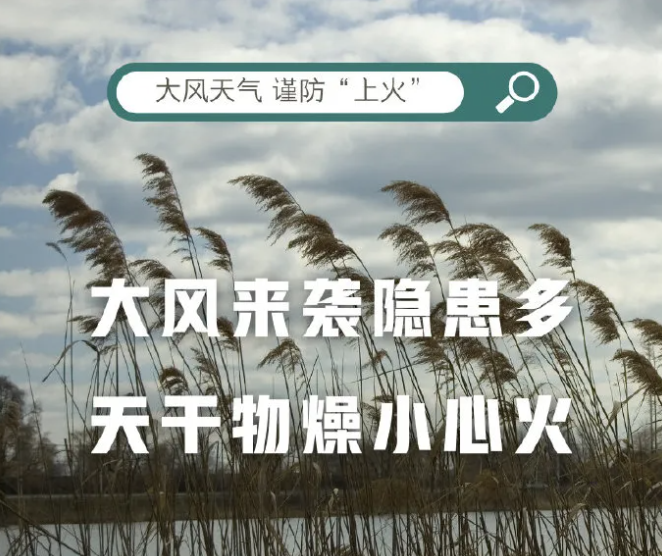 应急科普丨大风天气切记做好防火工作