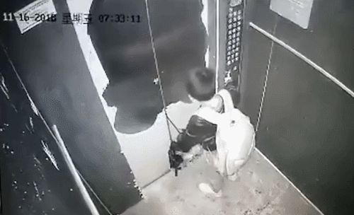 3.gif