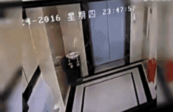 5.gif