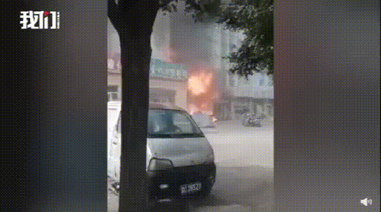 5.gif